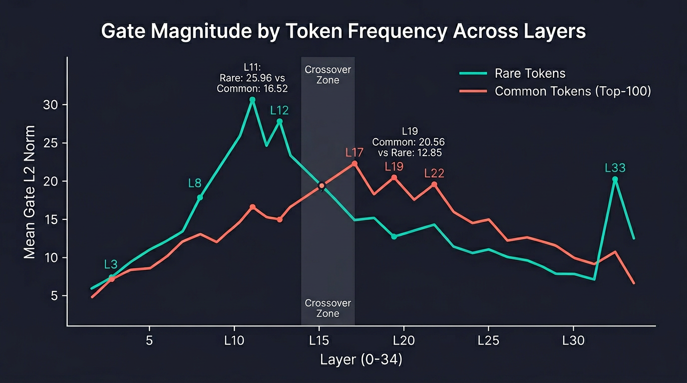 Gate magnitude by token frequency across layers — rare and common tokens diverge and cross over in the L13-L17 range